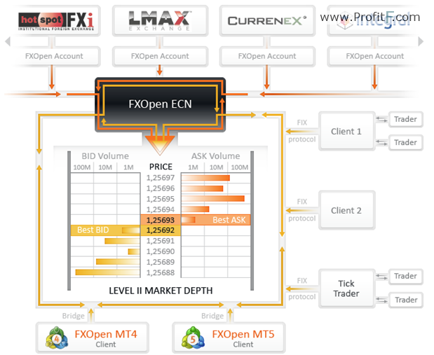 FxOpen Business Model