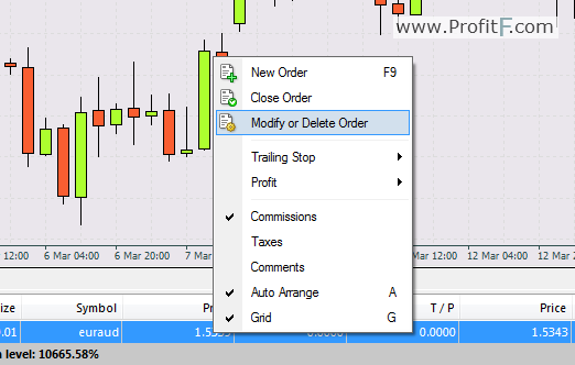 how to calculate pips in forex trading journal