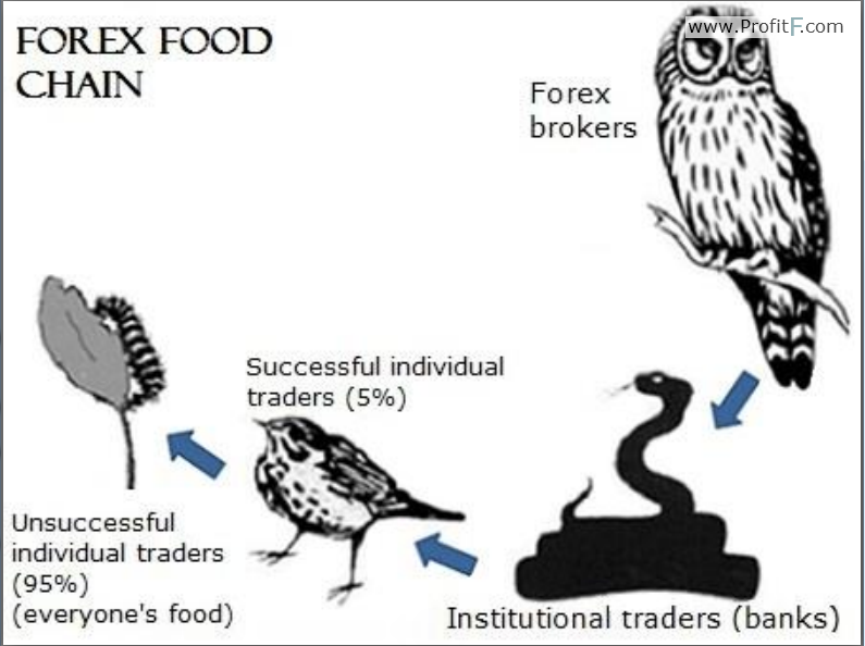 Funny forex pictures about brokers-5