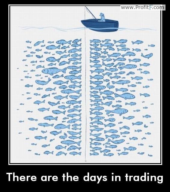 Forex funny