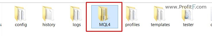 MQL4 Folder screen