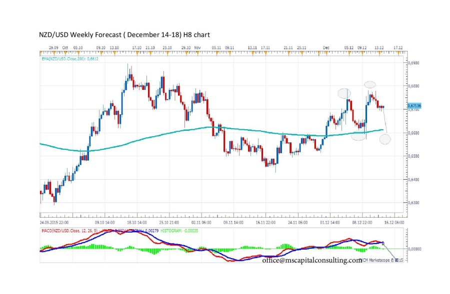 NZDUSD8h-page-001