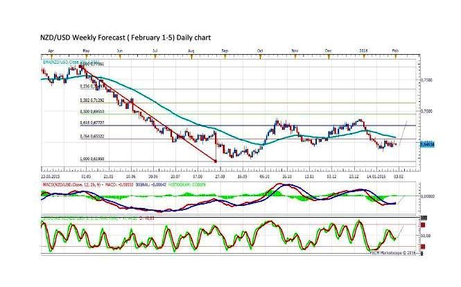 nzdusd daily