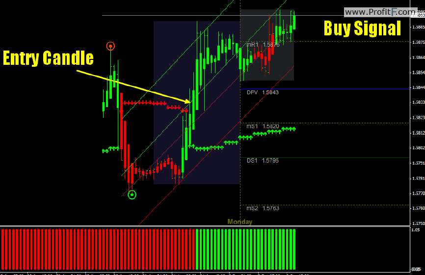 put Options binultima