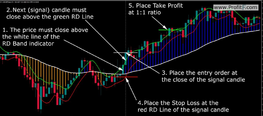 rapid dollar system buy