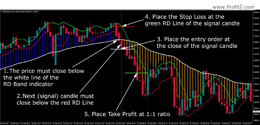 rapid dollar system sell