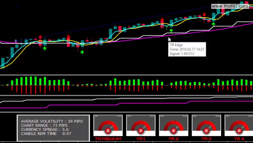 tr profit system screen1