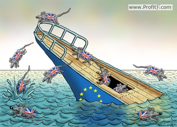 brexit funny picture 11