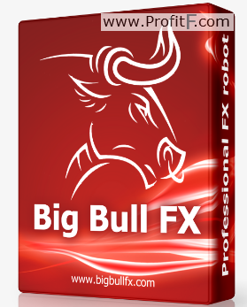 Big Bull FX robot