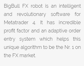 Big Bull FX -what it is