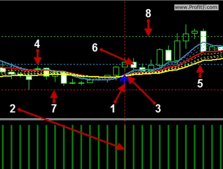 Double Profit Levels trading system rules