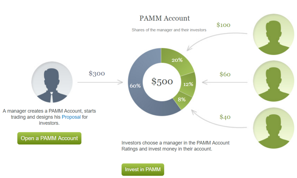 Pamm forex brokers