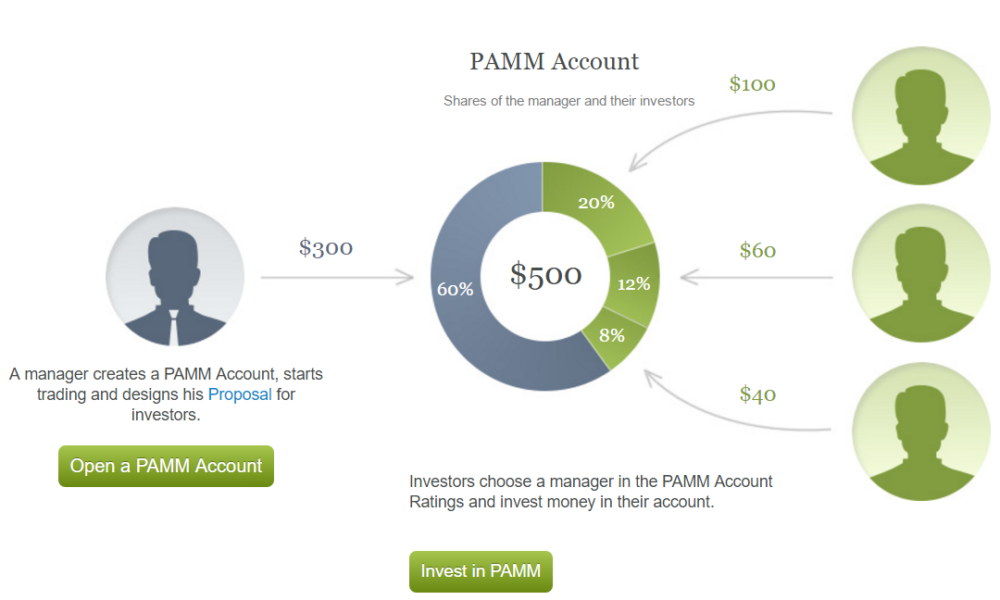 what is a pamm account in forex