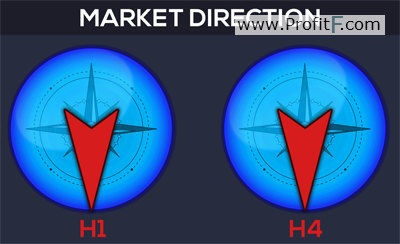 Market direction indicator FLC 1