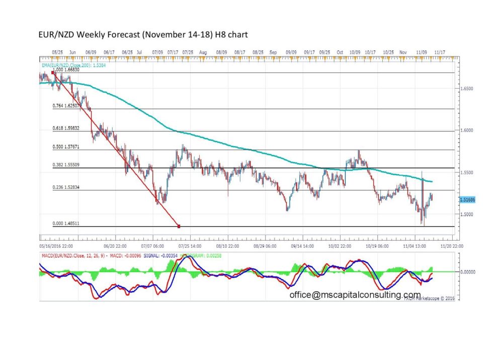 eurnzd8h-page-001