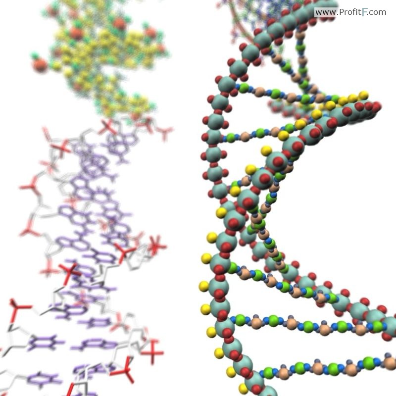 DNA chains and blockchain