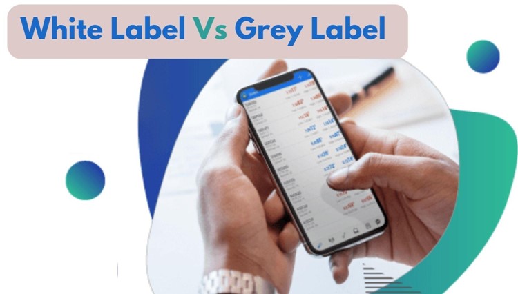 White Label vs Grey Label brokerage