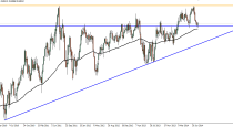 Forex Technical Analysis by Camilo R. (August 18-22)