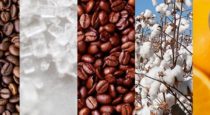 Pepperstone announced the launch of new range of Soft Commodity symbols.